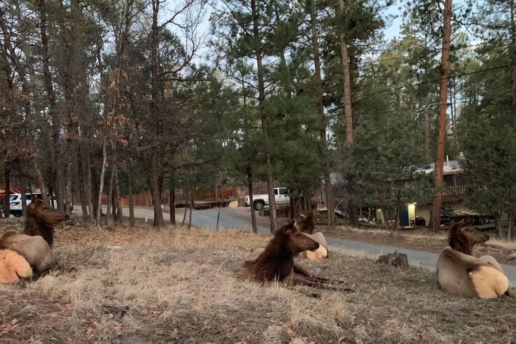 Villa Twin Pines Casita - Big Yard, View, Porch, Hot Tub, & Charm Ruidoso Esterno foto